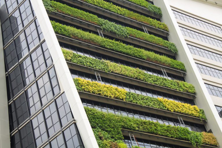 Mais de 80% dos investidores espera um aumento na procura por edifícios sustentáveis